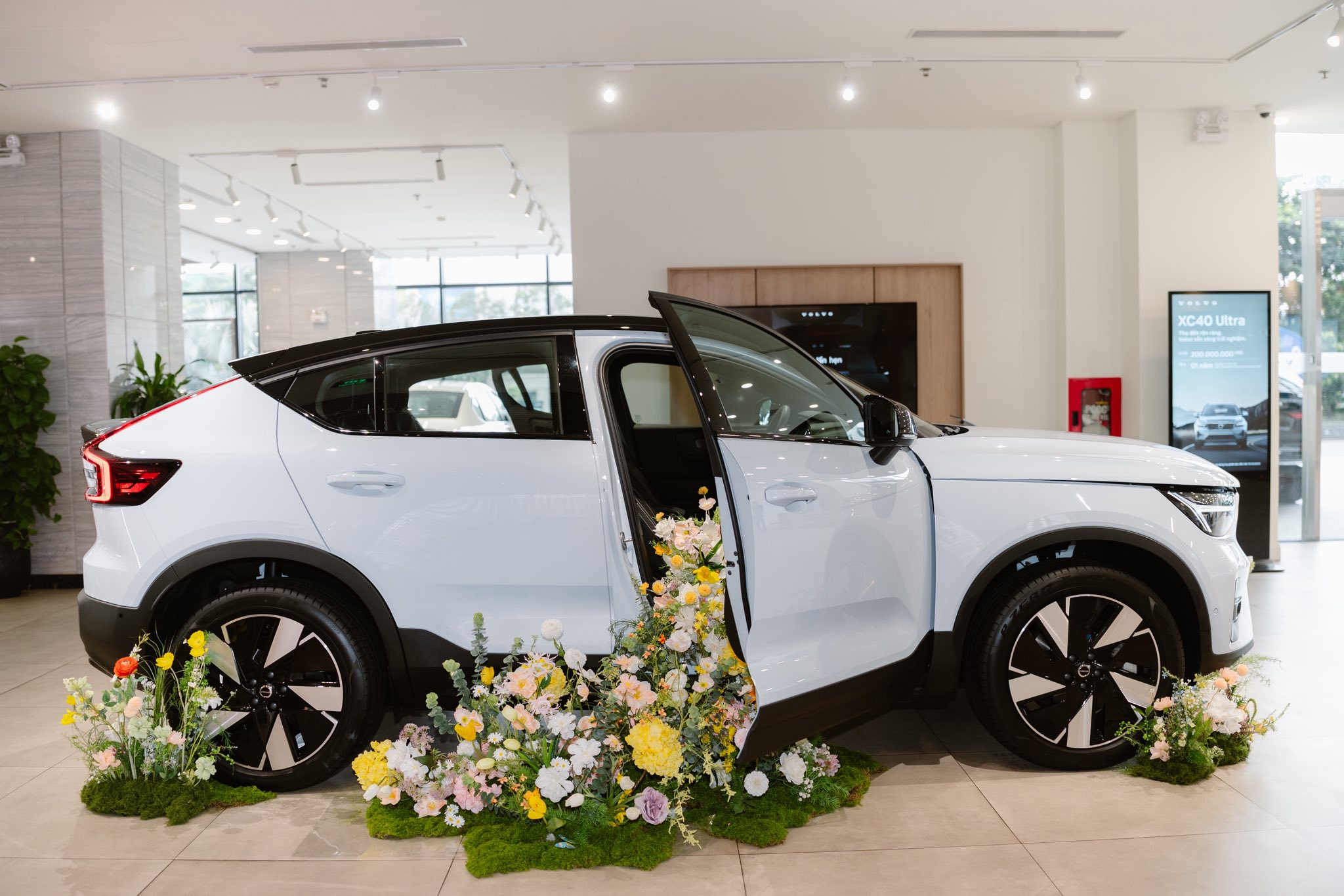 Volvo EC40 : Thân xe